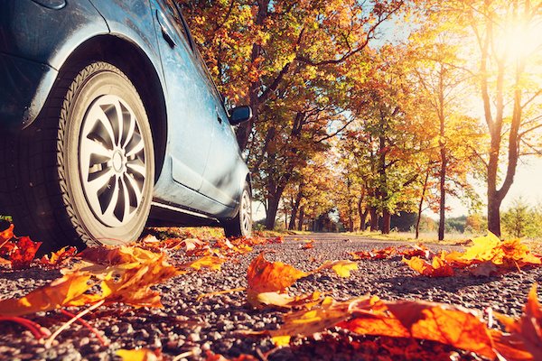 Take Care of Your European Vehicle This Fall!